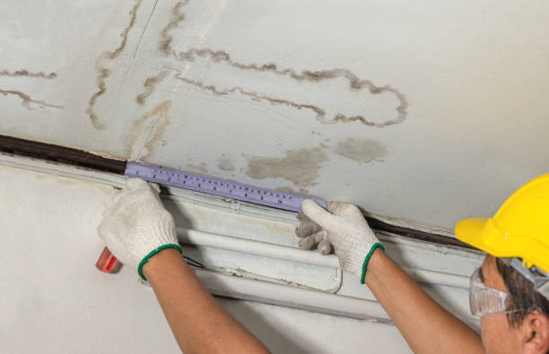 Reliable Mold Remediation contractor in Center Harbor, NH by Water Damage Irwin